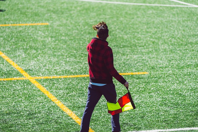 也是两种身 也是两种身