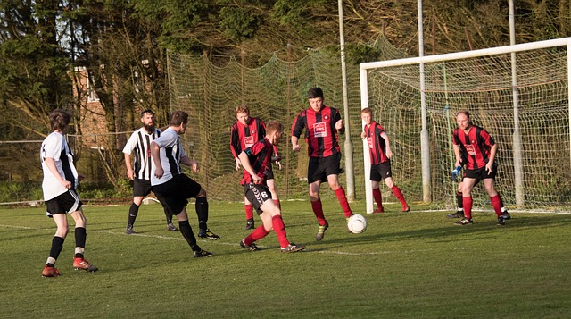 自然肩负着 自然肩负着