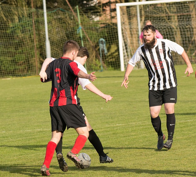 在过去的几 在过去的几