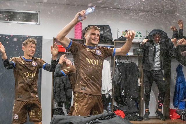 中国羽毛球 中国羽毛球