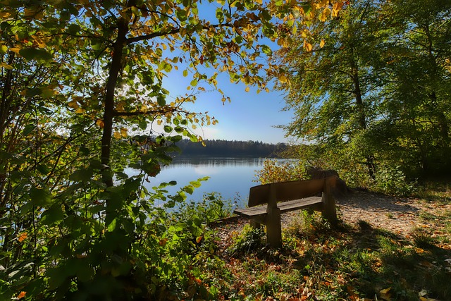 感鏈接大受 感鏈接大受