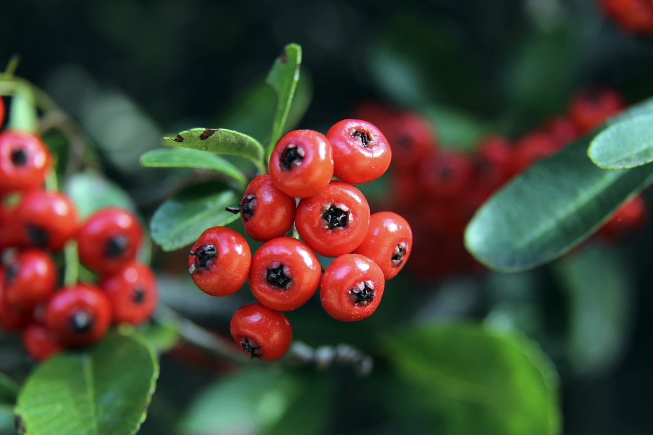 随着赛季的 随着赛季的