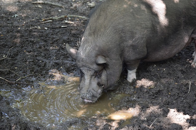 彩的一笔 彩的一笔