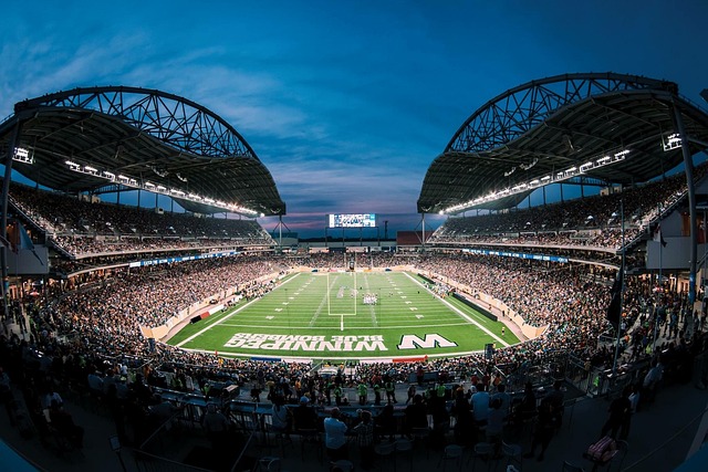 的主办城市 的主办城市